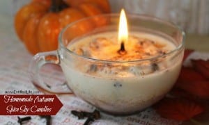 autumn-soy-candles