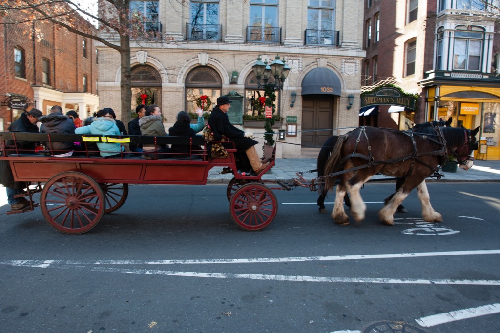 horse-drawn-carriage-holidays-7-x2