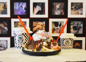 Ashley’s Ice Cream Celebrates 40 Years of Locally Made Ice Cream