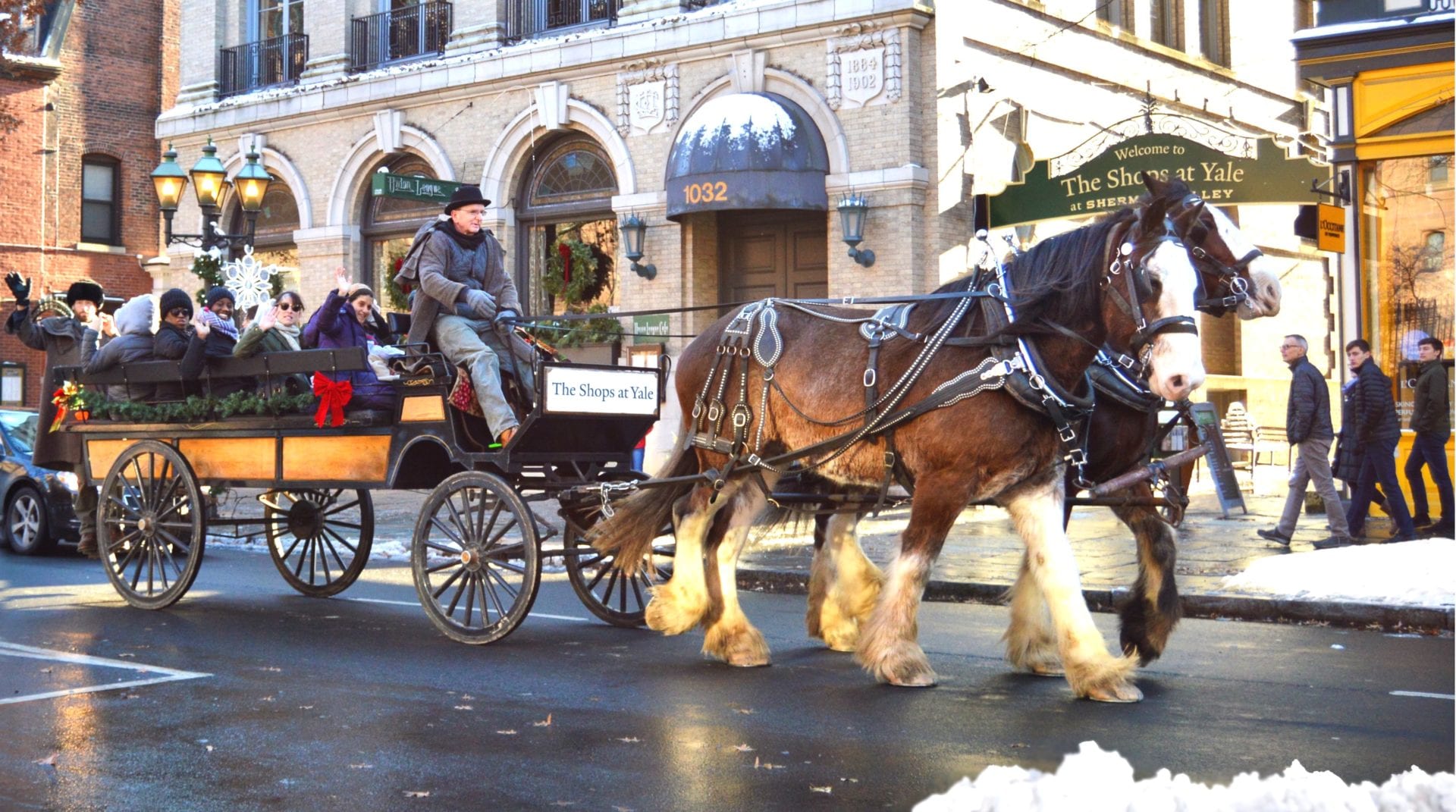FREE Downtown Horse-Drawn Carriage Rides