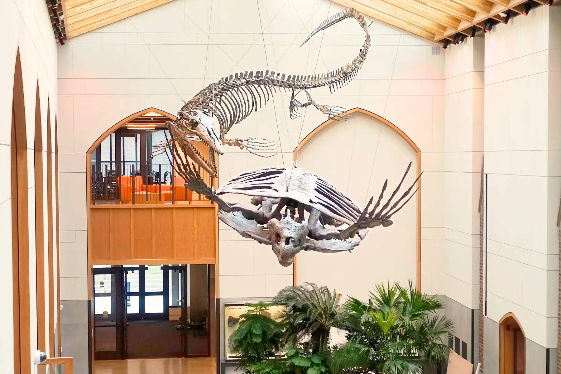 Yale Peabody Museum